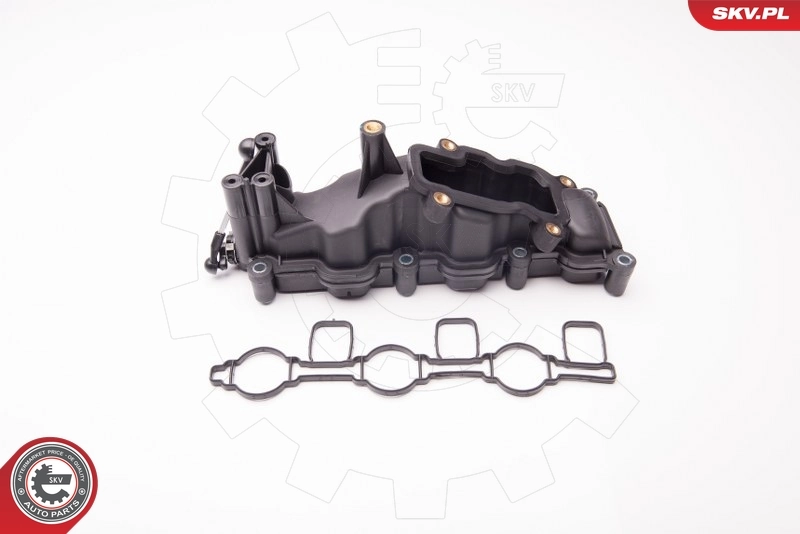 Intake Manifold Module